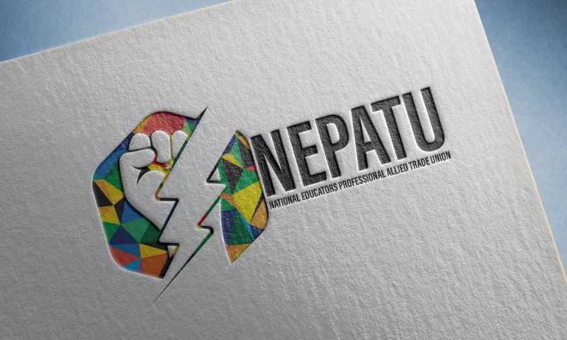 VMAQ Web Design - NEPATU Logo Design