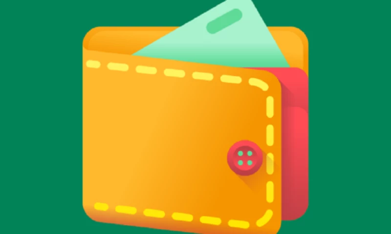 VMAQ Web Design - Budget Wisely: Budgeting Planner App