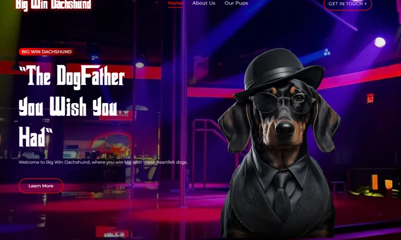 Futuristic Web Studios - Big Win Dachshund Breeding
