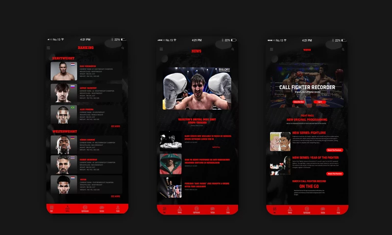 LEZ Solutions - Fighter Recorded