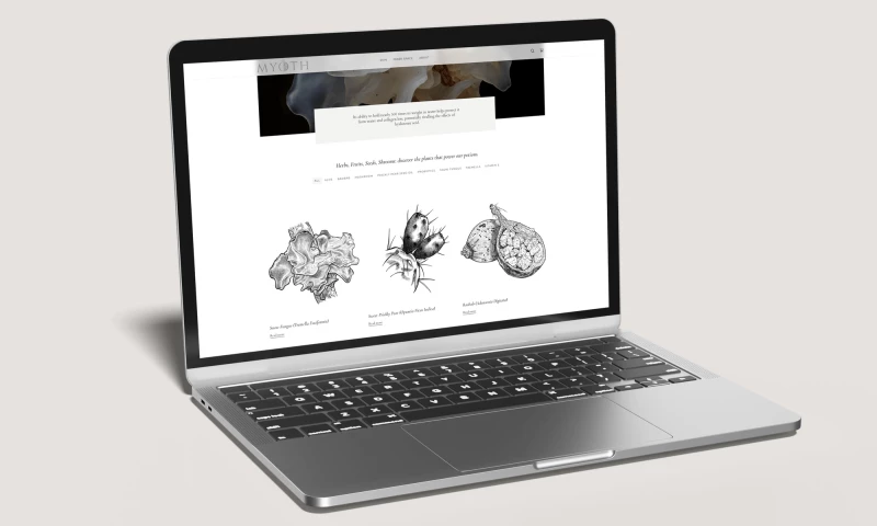 Dartmatics Limited - Ingredients Illustrations | Illustration