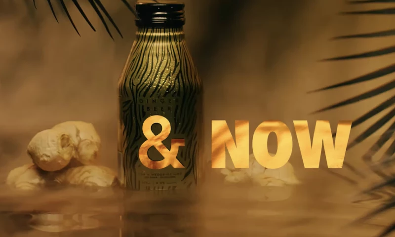 Speak To Strangers - Ampersan Vodka