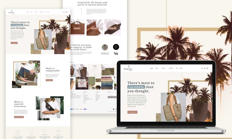 Idea Marketing Agency | Custom Web Design & Web Development - Malai E-commerce: Web Design