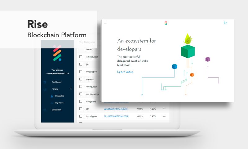 PixelPlex - Rise - Blockchain Platform