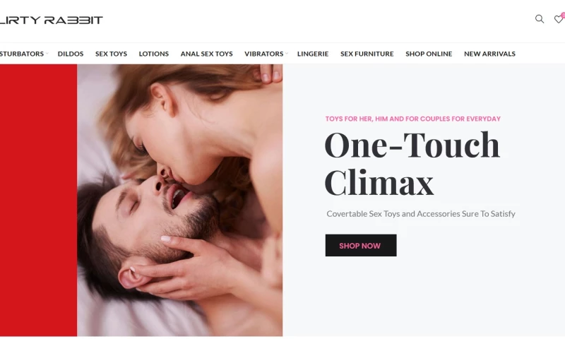 My Cheap Web Design - Flirty Rabbit