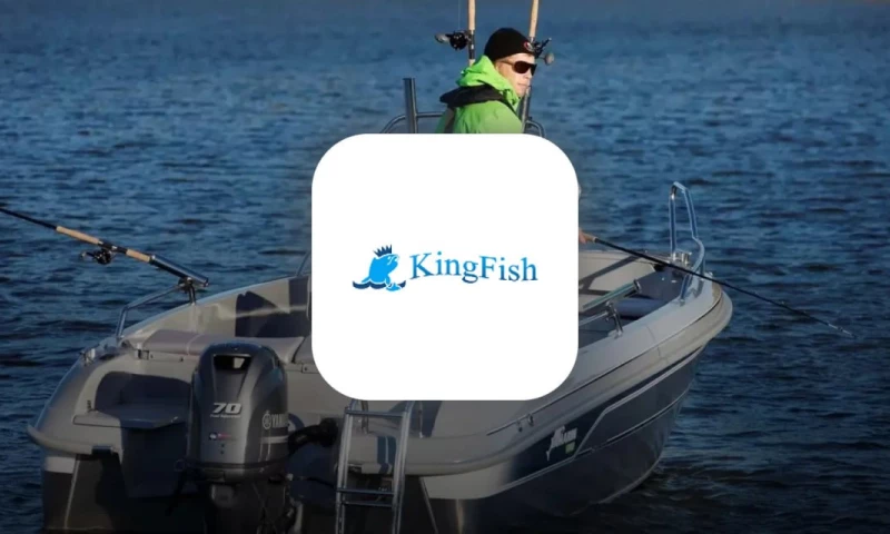 LikeIT - Разработка и SEO продвижение сайта по продаже товаров для рыбалки и отдыха «KingFish»