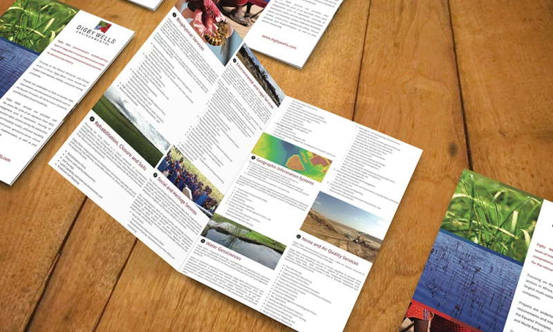 Druff Interactive - Digby Wells