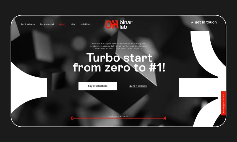 Aida Pioneer - Binar Lab