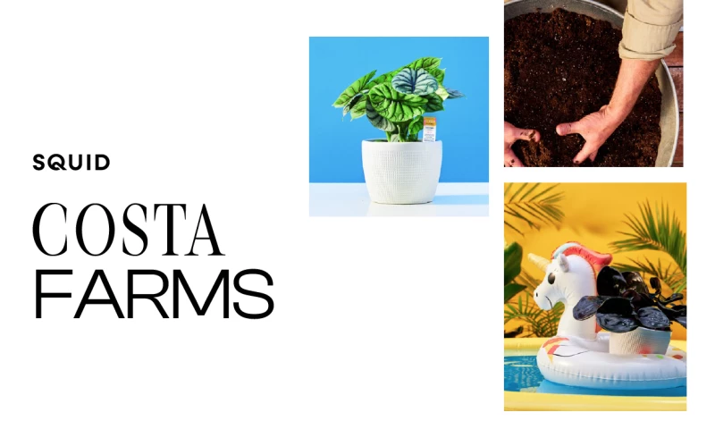 Costa Farms Rebrand & National Campaign