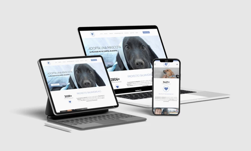 Ennoble Design - Non Profit Animal