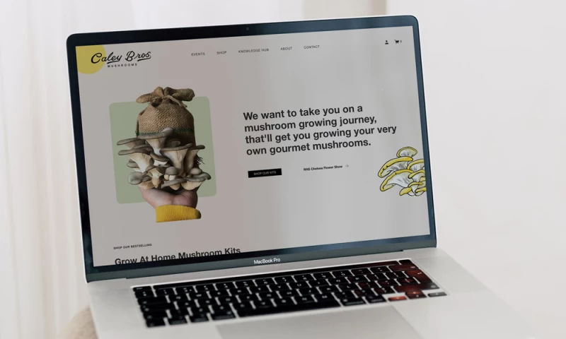 Studio Soph - Custom Squarespace Web Design & Development