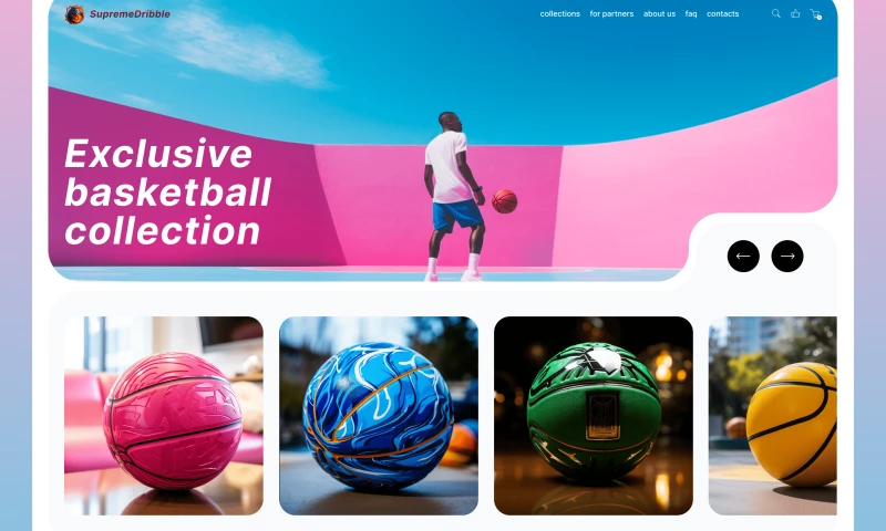 Web design concept for Basketball shop