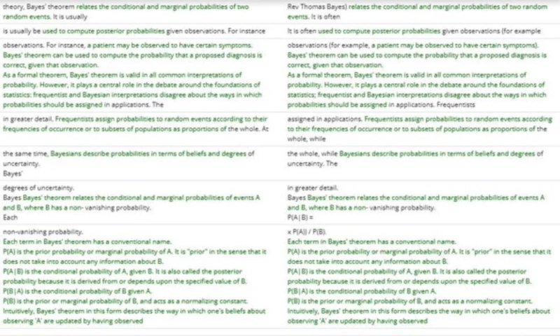 Plagiarism detection system