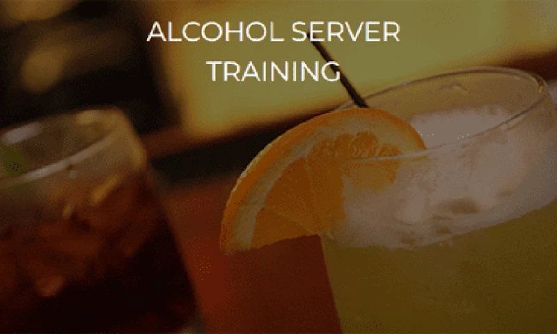 SEO Experts Inc. - ResponsibleTraining.Com Doubles Organic Traffic In 6 Months With SEO Experts