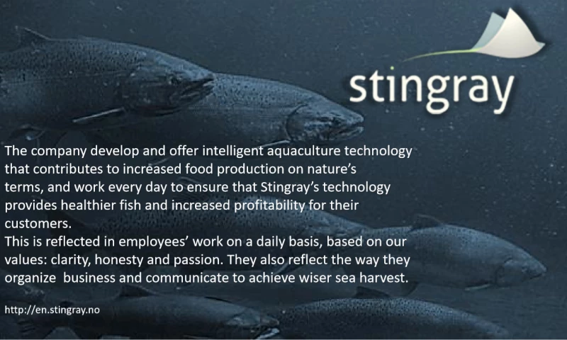 Vector Software - Stingray