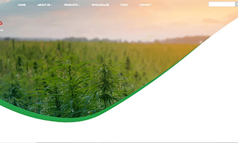 Creaa Think Designs - CBD