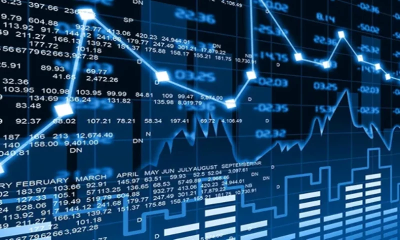 Muteki Group - AI powered Analytics platform in Fintech domain