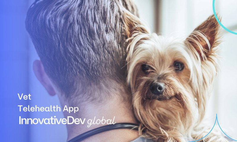InnovativeDev Global - Veterinary Telehealth App Startup