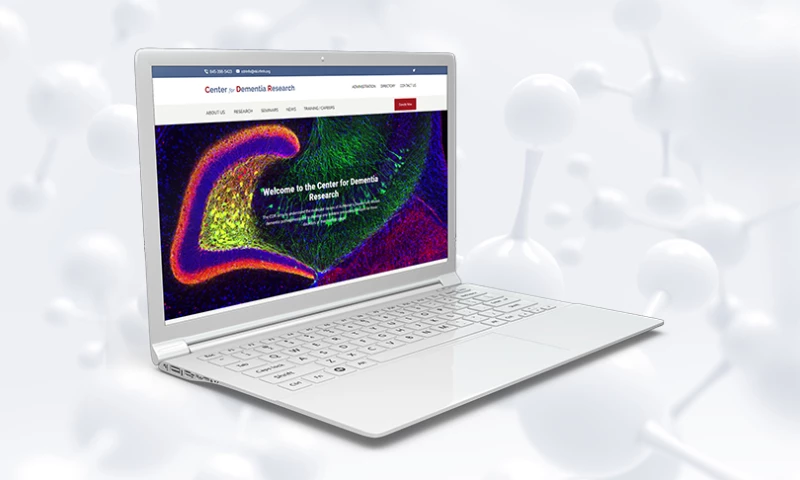 MAXBURST - Center for Dementia Research