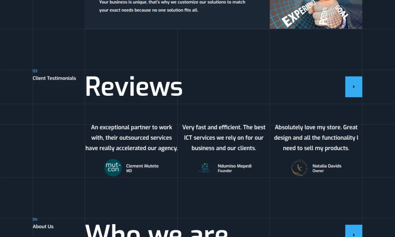 IT Consulting Website