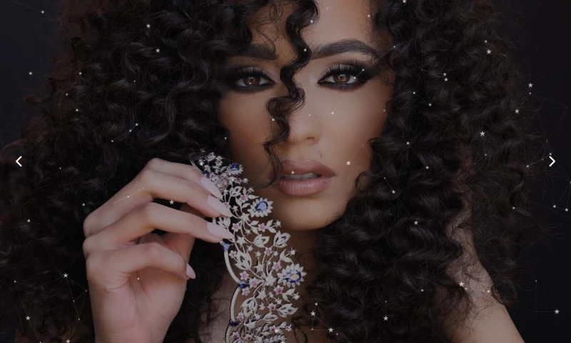 BUILD A BETTER WEBSITE LLC - Miss Teen USA