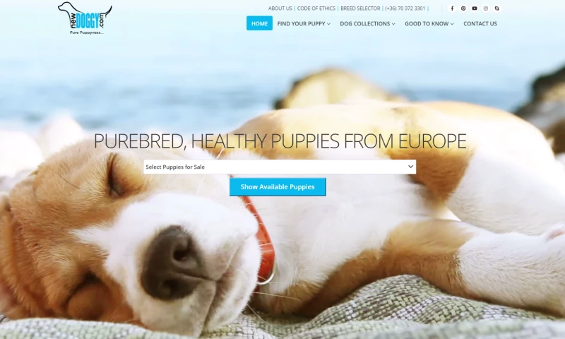 WebOrigo - NewDoggy dog sales and business management system