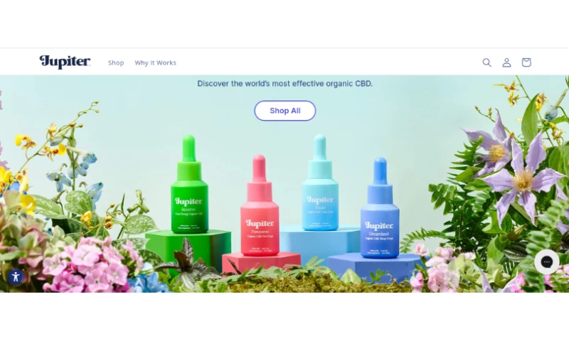 CSSChopper - Get Jupiter: Healthcare E-Commerce Website Migration