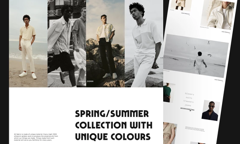 ScrumLaunch - Cygnes Website Landing Page