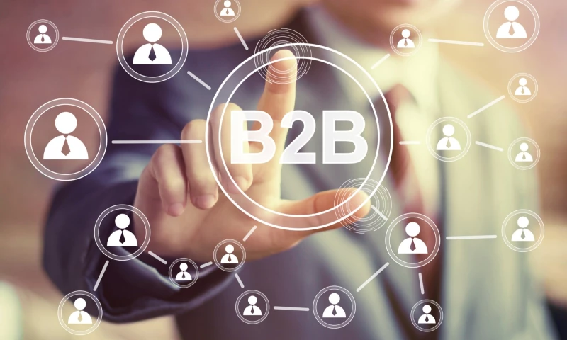 INTEGRATED DIGITAL MARKETING STRATEGY LEADS TO B2B SUCCESS