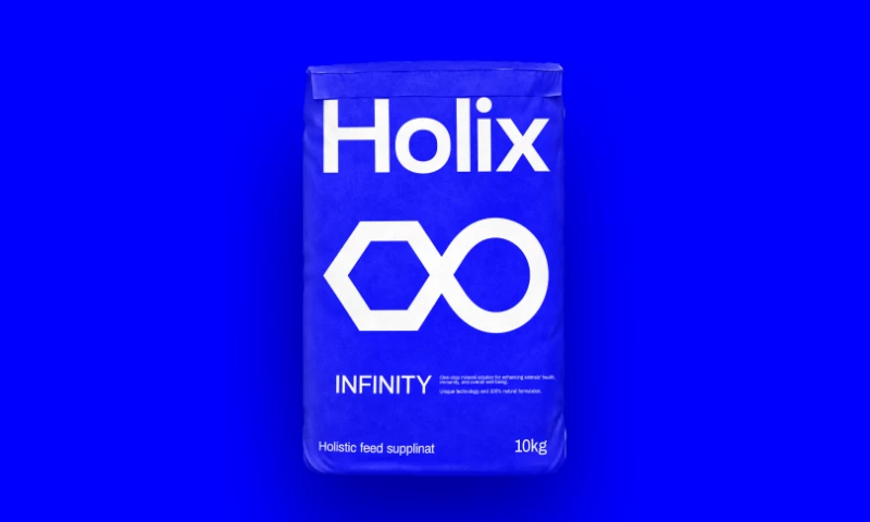 HOLIX - Branding & Strategy