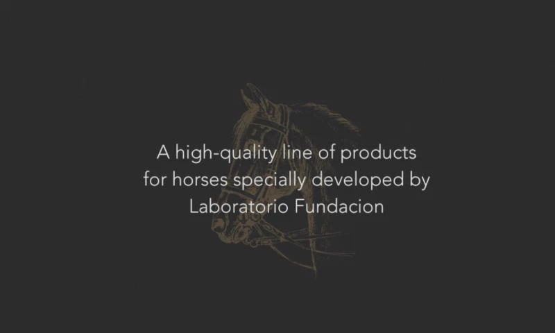 High End Medicine Line for Horses