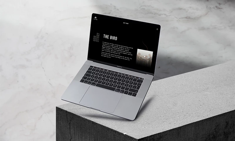 Pixel Hero Australia - The Bird