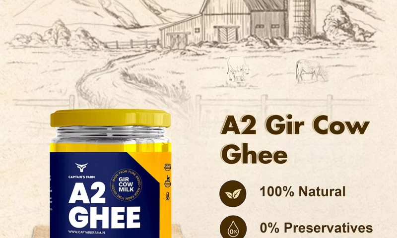 Digitly - SEO, Social Media, Packaging Design, Paid Ads