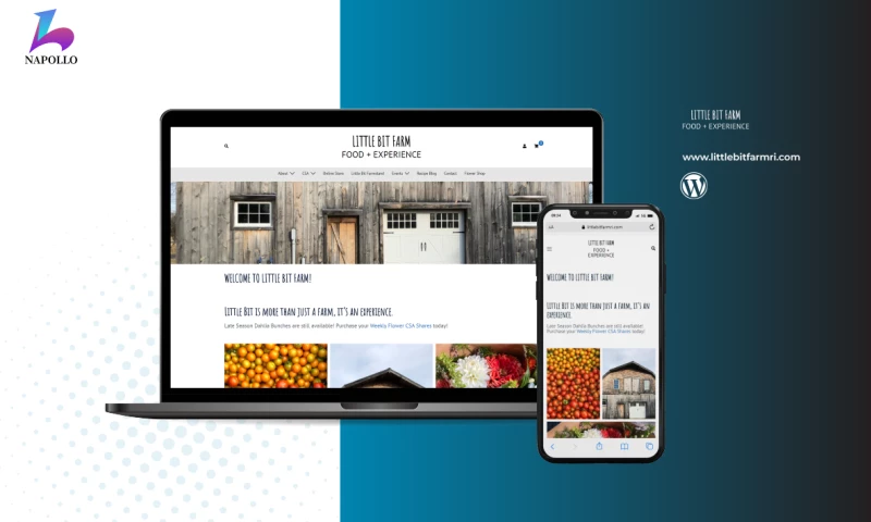 Napollo - Little Bit Farmri