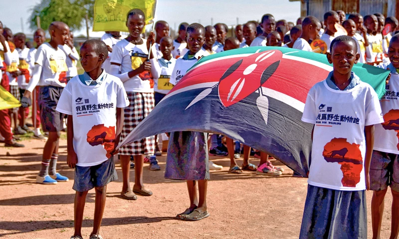 ROOM 1707© - NATURE GUARDIAN