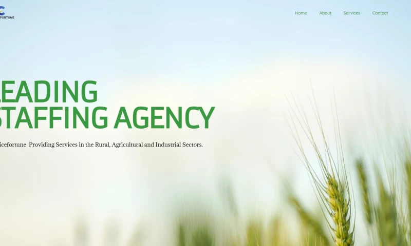 Techie Pixel - WEBSITE DESIGN AND DEVELOPMENT