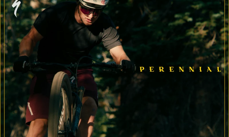 Specialized Perennial