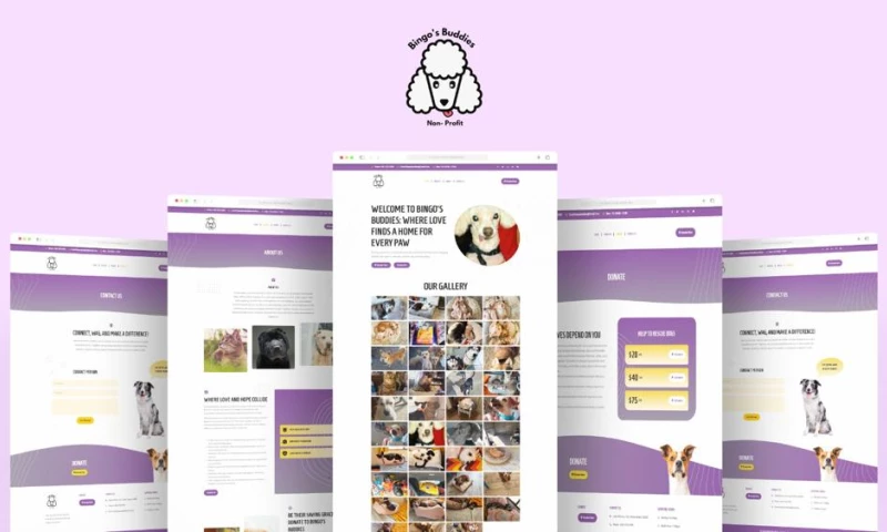 Tech Reforms - Bingo's Buddies - Web Design And Development