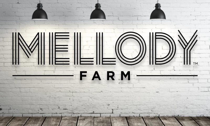 Rule29 - Mellody Farm