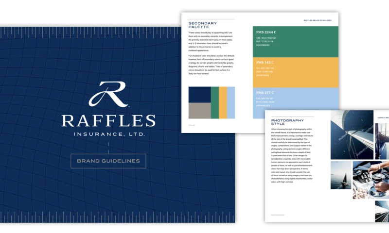 Rule29 - Raffles Insurance