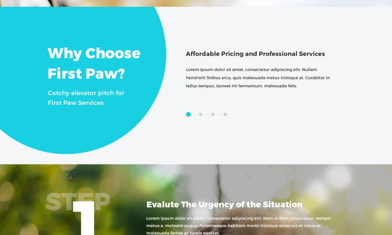 The Webery Studio - First Paw