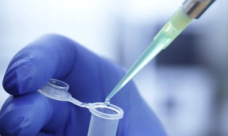 Bekon Bits - Vital Bio