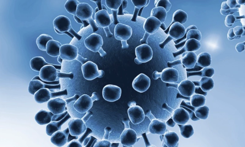 Bekon Bits - High-Throughput Diagnostic Leader