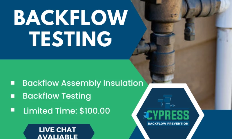 Social Media & Website design with SEO