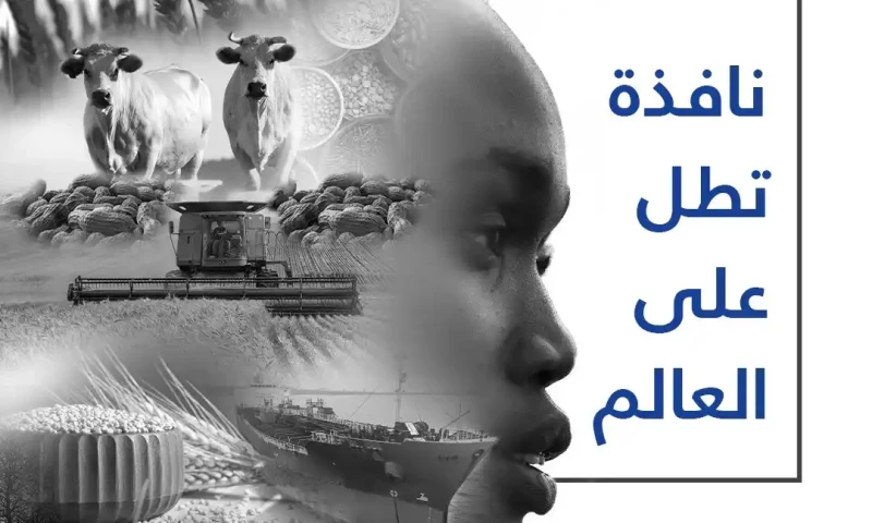 Cush Digital - Haggar Group Case Study