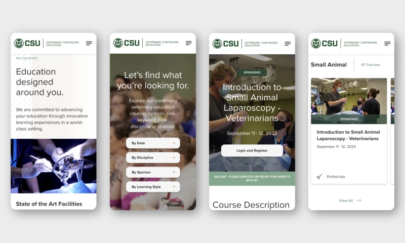 Colorado State University