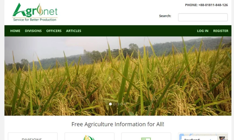 Custom Web Development by PHP