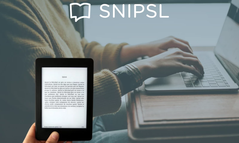 SmithySoft - NEW SALES SYSTEM FOR Snipsl Media GmbH