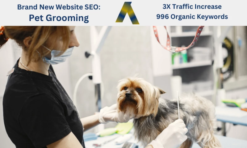 Brand New Website SEO: Pet Grooming Company - 3X Traffic