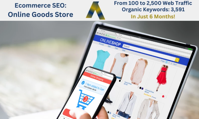 Ecommerce SEO: Online Goods Store - From 100 to 2,500 Organic Traffic in 6 Months
